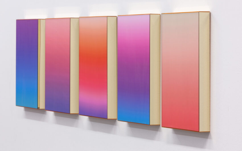 Tq Edition Jonny Niesche