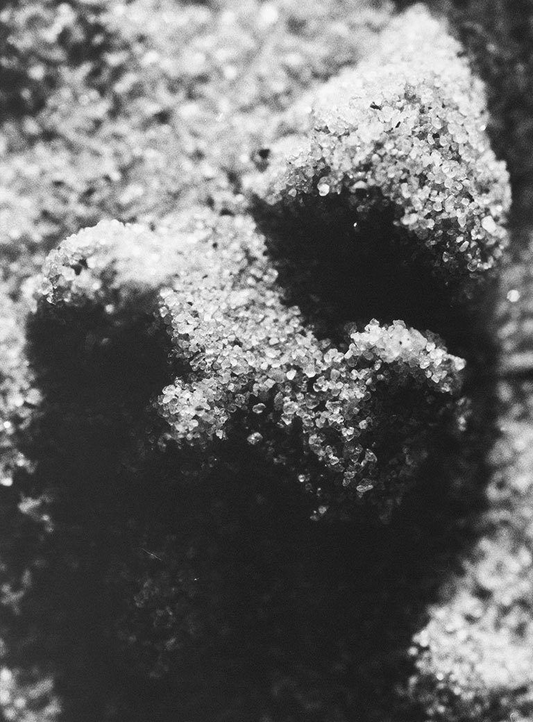 05 Claudia Rohrauer Parnidis Grain Studies Magnification 02
