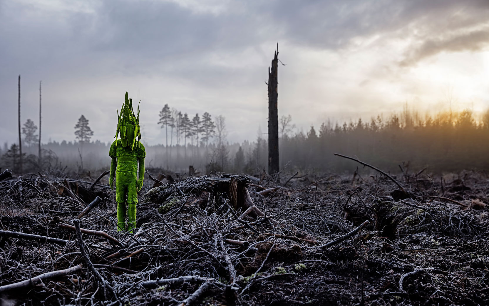 Kim Simonsson Voodoo Moss Boy 01